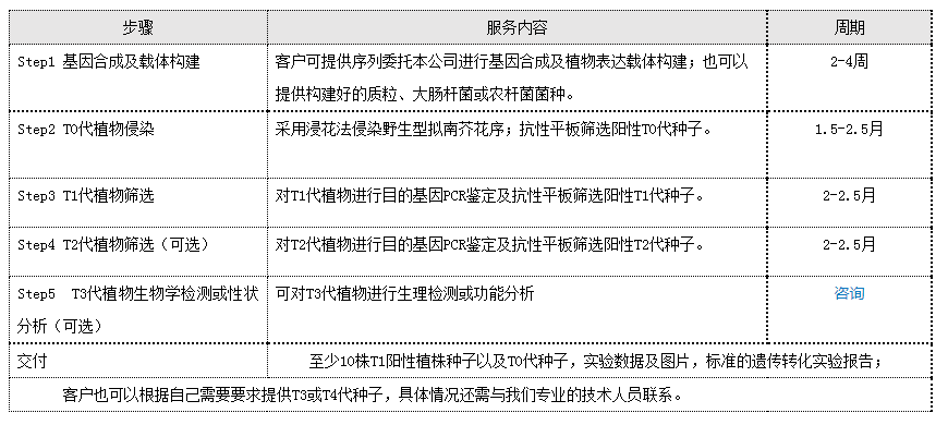 拟南芥遗传转化服务内容