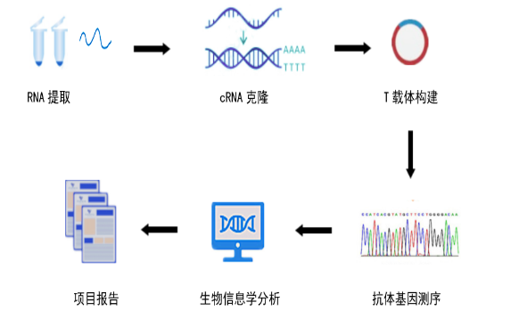 QNC`ANCI_BX{S$VB]8YU0VC.png