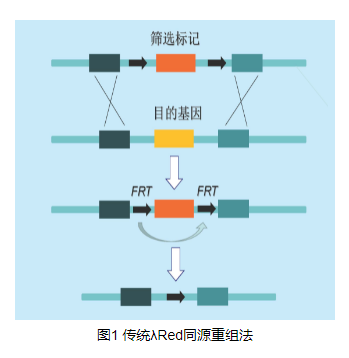 R5~A@@8M5}BAVOB@APL1PIT.png