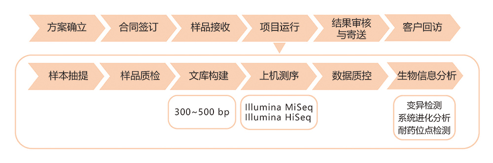 细菌基因组重测序技术路线.jpg