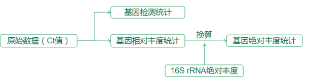 环境粪便污染溯源芯片检测分析流程